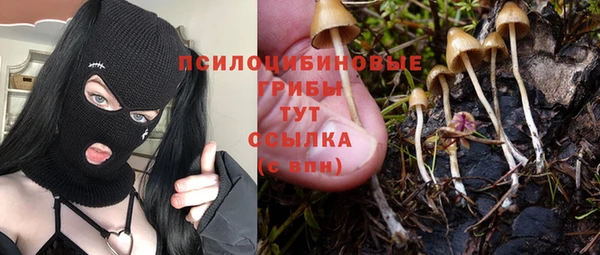 герыч Богородицк