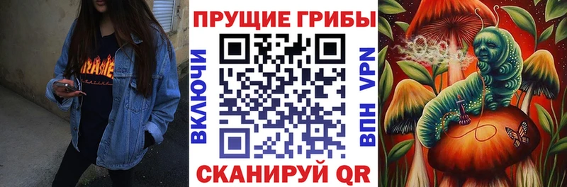 цена наркотик  Шумерля  Псилоцибиновые грибы прущие грибы 